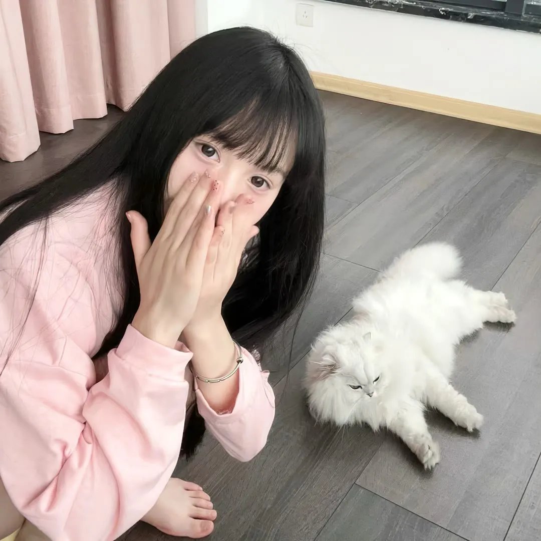 失踪少女名单